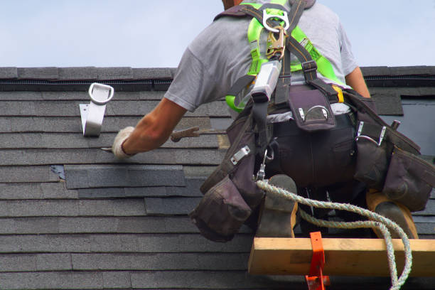 Best Roof Gutter Cleaning  in Wales, WI
