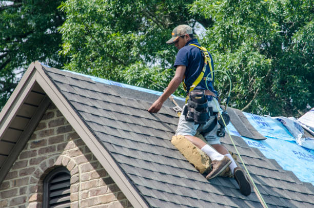 Best Shingle Roofing Installation  in Wales, WI